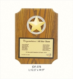 IDF-378 Wipro Star Plaque