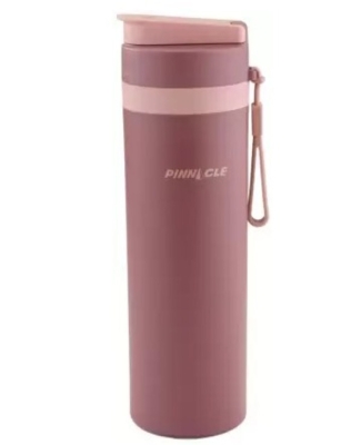 Pixel Thermo steel Bottle-600ML