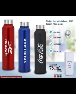 Straight steel bottle Colored | Capacity 750ml approx